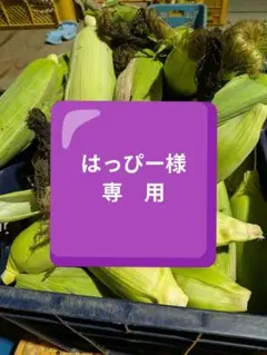 はっぴー様専用 — image 1