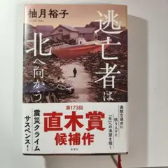 逃亡者は北へ向かう — image 1