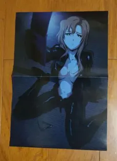 娘TYPE付録『STEINS:GATE/輪るピングドラム』両面ポスター — image 1