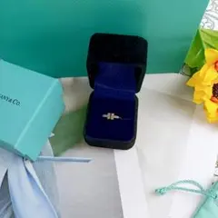 Tiffany & Co. T ダイヤモンド ワイヤー リング tF12 — image 1
