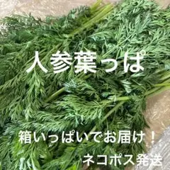 人参葉っぱ(ネコポス発送) 箱いっぱい 詰め合わせ — image 1