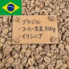 【特選】コーヒー生豆 500g ブラジル イリシニア No.2 — image 1