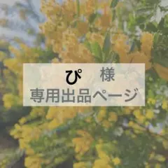 ぴ様　専用出品 — image 1