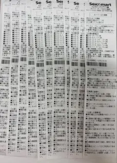 セイコーマート用 キャメル プルーム引換券 — image 1