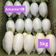 Amaree1様専用★辛味大根『おいばね』SМ混合5kg — image 1