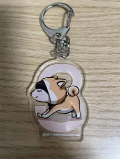 きいベス　きいホルダー 3　柴犬 着ぐるみ アクリルキーホルダー — image 1