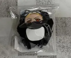 crazy raccoon クレイジーラクーン YY わいわい ぬいぐるみ — image 1