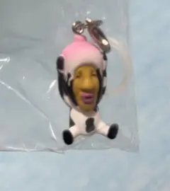【新品】こびとづかん　めじるしフレンズ　シボリオオチチ — image 1