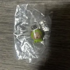 こびとづかん めじるしチャーム — image 1