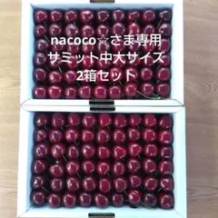 青森県産・サミット・家庭用・加工用・中大サイズ・箱込み1.2kg — image 1