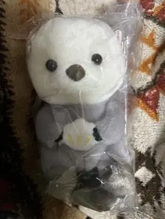 ラッコ ぬいぐるみ 貝殻付き　鳥羽駅で購入 — image 1