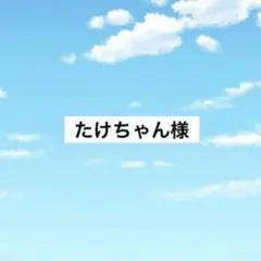 アメステ　たけちゃん様 — image 1