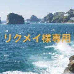 リクメイ様専用 — image 1
