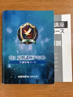 【記入消し済み】佐鳴　中3 夏期講座テキスト　学調対策テキスト 2024 — image 1