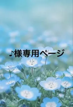 ♪様専用ページ — image 1