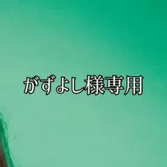 かずよし様専用 — image 1