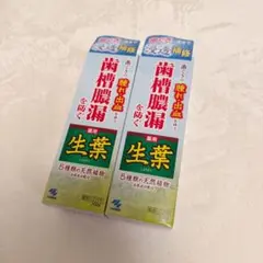 小林製薬　生葉　歯磨き粉 — image 1