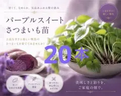sho-farm様 コメント見て — image 1