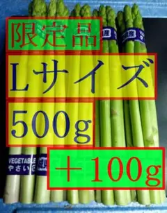 朝採り即日発送！御前山青木農園の新鮮アスパラガス Lサイズ５束 500g — image 1