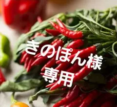 きのぽん様専用 — image 1