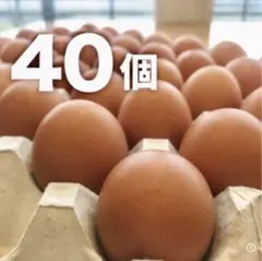 蔵王鶏園の「眠れる森のたまご」 — image 1