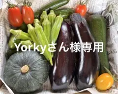 Yorkyさん様専用 — image 1
