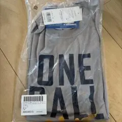 Champion Tシャツ C3-PB319 グレー M — image 1