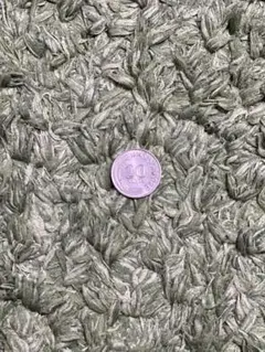 硬貨、コイン — image 1