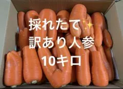 採れたて訳あり人参 アロマレット　10キロ — image 1