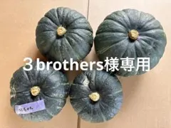 ３brothers様専用 — image 1