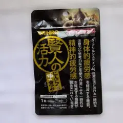 賢人の活力にんにくの恵み30日分1日1粒30粒入り — image 1