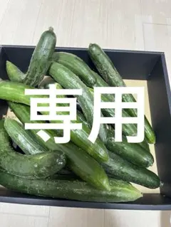 専用です — image 1