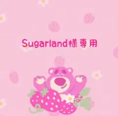 Sugarland様専用です — image 1