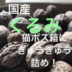 鬼くるみ姫くるみお菓子くるみ — image 1