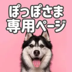 BMサ●○ぽっぽ様　専用ページ○● — image 1