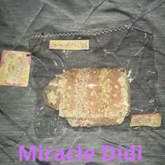 Miracle Didiスクイーズ — image 1