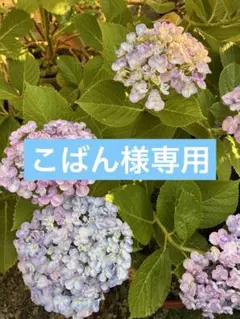 こばん☆様 リクエスト 2点 まとめ商品 — image 1