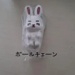 SEVENTEEN MINITEEN ガチャ エスクプス — image 1