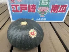 江戸崎かぼちゃ　A品　１個 — image 1