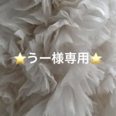 【専用】うー様 — image 1