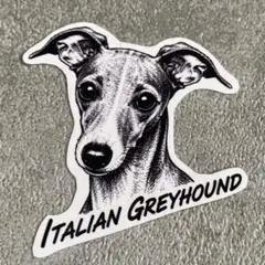 イタリアン・グレイハウンド ステッカー 名入れ可 イタグレ — image 1