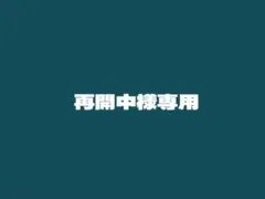 再開中様専用 — image 1