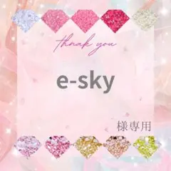 【レターパックライト】e-sky様 — image 1