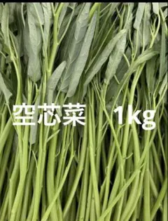 自家栽培　空芯菜　1kg — image 1