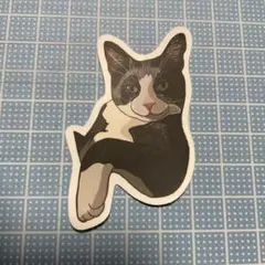 猫 ステッカー ハチワレ 黒白 — image 1