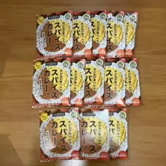 vegara ヴィガーラ スパイスカレー 13個セット — image 1