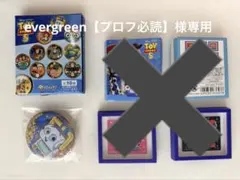 evergreen【プロフ必読】様専用 — image 1