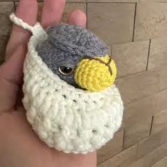 むすっとハシビロちゃん ウォールバスケット — image 1