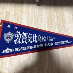 敦賀気比高校 第93回選抜高校野球大会 記念ペナント — image 1