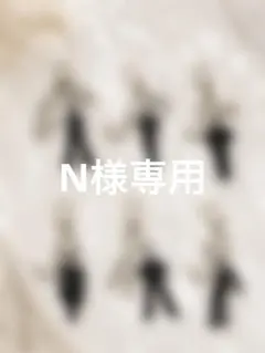 N様専用 — image 1